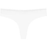 Triumph String Feel of Modal