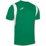 Joma Jersey Dinamo Groen/Wit Heren Maat L