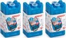Plasticforte 90 grams éléments réfrigérants - 6x pièces - 11 x 5.5 cm - bleu - plastique
