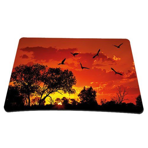 Pedea 67007060 - Muismat - multi