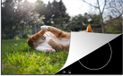 Merkloos KitchenYeah® Inductie beschermer 77x51 cm - Spelende kat in het gras - Inductiebeschermer