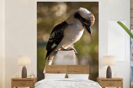 Nr1Wallpaper Behang - Fotobehang - Een kookaburra die zit op een railing - Breedte 145 cm x hoogte 220 cm