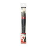 Daler-Rowney Georgische olie lange steel borstel portemonnee set, natuurlijke varkenshaar, 4 verschillende borstels, ideaal voor professionele kunstenaars en studenten, zwart handvat
