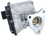NRF EGR Klep 48700
