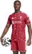 ADIDAS PERFORMANCE Adidas Liverpool FC - Thuis Voetbalshirt - Rood - Unisex - XL