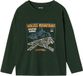 Vertbaudet Jongensshirt met lange mouwen Groen Katoen Maat 140