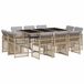 vidaXL 11-delige Tuinset met Kussens, Poly Rattan, Gemengd Beige