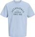 JACK & JONES JPRBLUTHOR SS TEE FST Heren T-shirt