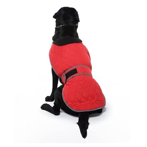 JRKJ Winter Dog jas kleding Waterdichte reflecterende grote hondenjas Soft High Collar Dog Vest voor Medium Large Dogs S-2XL