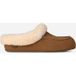 UGG® Ansley Mule Brown Suede Women's Size 38