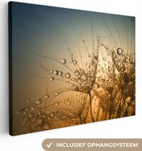 Canvas schilderij - Bloemen - Water - Zon - Lucht - 40x30 cm