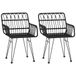 VidaXL Tuinstoelen 2 st met armleuning 56x64x80 cm pe-rattan zwart