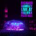 Proper S&D Consignment Richard Hawley - Live At Halifax Piece Hall