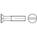 TOOLCRAFT TO-5361171 Vis à tête fraisée M5 6 mm Fente Inox A2 500 pièce(s)