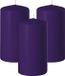 Enlightening Candles Cilinderkaars/stompkaars - 3x - paars - D8 x H12 cm - 45 branduren