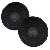 DL SERVICE Faber Flaminia Filter voor afzuigkap, vervangingsfilter van actieve kool voor Flaminia afzuigkap, verpakking met 2 filters