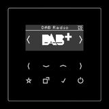 Jung Smart Radio DAB+, Serie LS, zwart
