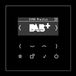 Jung Smart Radio DAB+, Serie LS, zwart