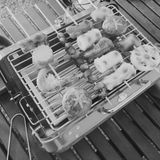 Markenlos Shenzhen Haorui Industrial Technology Co., Ltd. Draagbare houtskoolgrill, van roestvrij staal, picknickgrill, eenvoudig te dragen en te gebruiken, origineel cadeau, cadeaus voor ouders, jachtgroen