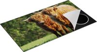 Chefcare Inductie Beschermer Twee Schotse Hooglanders 95x55 cm