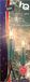 HQ Kerstverlichting 50 lampjes