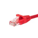 Netrack BZPAT025UR netwerkkabel Rood 0,25 m Cat5e U/UTP (UTP) Rond