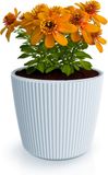 Prosperplast Plantenpot/bloempot Buckingham - buiten/binnen - design kunststof - lichtgrijs - D23 x H21 cm