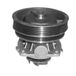 MAGNETI MARELLI Wasserpumpe 352316170322