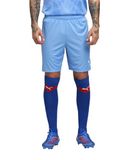 Puma TeamGoal Shorts XXL Heren Lichtblauw-Puma Wit