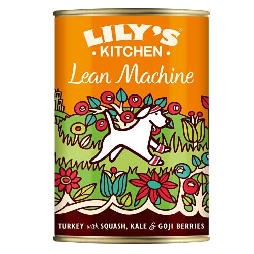 Lily's Kitchen Lily's Kitchen Natuurlijke Volwassen Hondenvoer Natte Blikken - Lean Machine Kalkoen & Squash - Complete Maaltijdrecepten (6 blikken x 400 g)