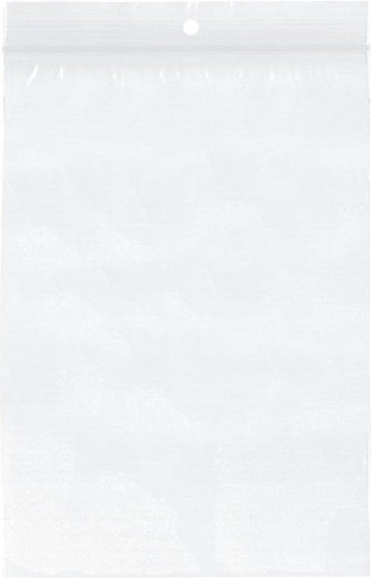 Raadhuis gripzak - 120x180mm - zonder schrijfvlak - 100 stuks - RD-341175