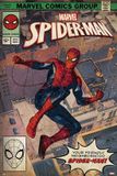 Marvel Spider-Man Comic Front - Maxi Poster - 61 x 96.5 cm