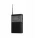 Sunstech Radio RPS42 Zwart