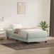 Maison Exclusive - Boxspring avec matelas, gris clair, 80x220 cm, velours