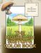 The mushroom sketch & color book: A mushroom coloring book with 25+ detailed illustrations & nature descriptions