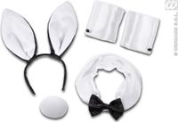 W Finidi Verkleedkleding - 4-delig Bunny-setje