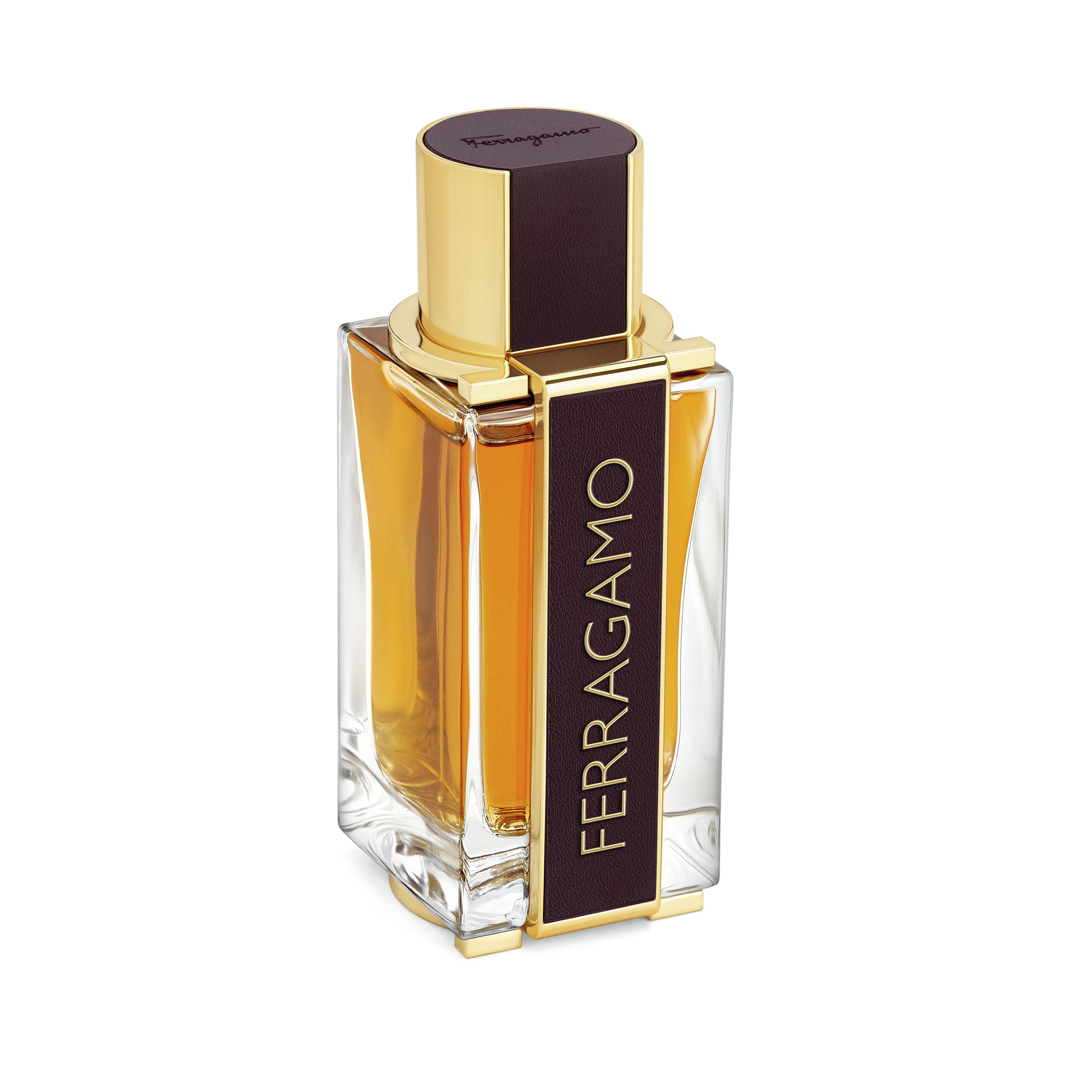 Salvatore Ferragamo Eau de Parfum / 100 ml / Men