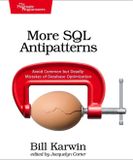 More The Pragmatic Programmers More SQL Antipatterns - Paperback