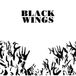 Sonic Rendezvous His Name Is Alive Black Wings (LP)