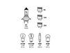 Lampa H7 Halogeen set 12V 55W Wit Auto reservelampenset