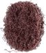 Pferd 156964 Polinox Rond voor marmerlichaam MKRK, vliesgereedschap, 100 korrelgrootte, 40 mm buitendiameter, 100 stuks