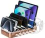 4Smarts Team 100W Laadstation 5x USB-C 1x USB-A Oplader Brons