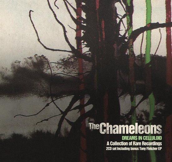 Dreams Chameleons Dreams in Celluloid