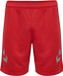 Hummel Hmllead Poly Shorts 207395 Rouge S