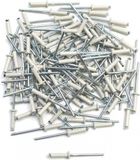 TOP PLAQ proconcept 2 roues (p2r) popnagel wit p2r voor bevestiging nummerplaat voor motorfiets auto 100 stuks nieuw