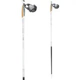 Tsl Tactil C100 Silver Kork Spike 135 Nordic Walking Stokken