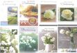 knutselkraam 20 Enkele Condoleance Wenskaartjes - Met Oprechte Deelneming - Assorti Nr 401