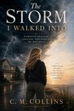 The Storm I Walked Into: Domestic Erasure, Survival, and Finding My Way back