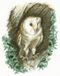 Heritage kruissteek set Aida "sluier uil (A)", tellpatroon, JSBO402-A, 20,5 x 25,5 cm