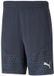 Puma Teamcup Training Shorts Blauw XL